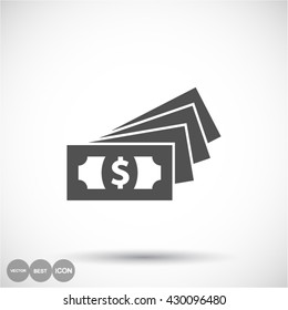 Money Icon