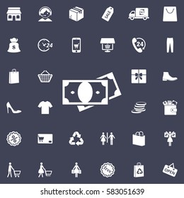 Money icon
