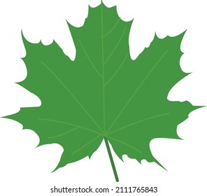 money leaf vector flat illustration