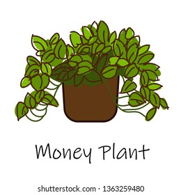 Money Plant ,Air purification tree,Vector hand drawn doodles. air purifying indoor plants Vector illustration