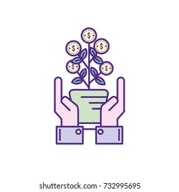 money plant with leaves coins and hands up