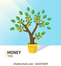 Money tree  Background 