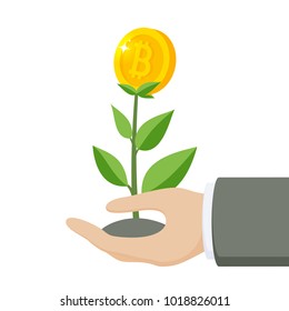 Money tree with bitcoins growing. Bitcoin financial growth Concept. vector illustration in flat style