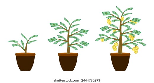 money tree cash money and gold coin. Business investment profit concept, Financial or investment growth concept. vector illustration isolated on white background.