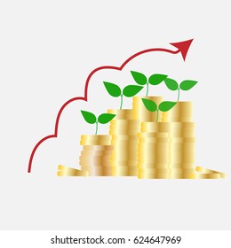 Money tree with coin for growing.