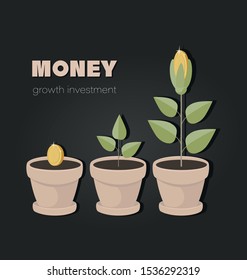 Money tree with coins growing. Coins flowers potted. Gold coin as a seed in flower pot. Money flower and financial growing concept, economic or market growth, investment revenue, benefit.