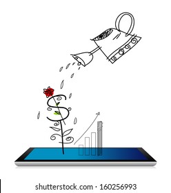 Money tree concepts on white background