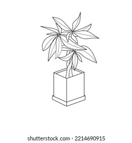 Money Tree Doodle, Sketch. Tree In Pot Icon. Plant