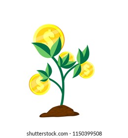 money tree in flat design style vector