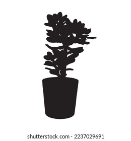 Money tree in flower pot isolated in silhouette stock illustration on white background.