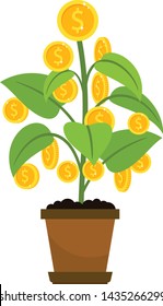 Money tree growing in a pot. Isolated vector object on white background.