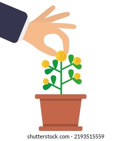 Árbol de dinero, crecimiento de dinero, inversión. Una mano llora una moneda digital dorada, una moneda digital dorada crece a partir de una maceta de flores. Concepto de icono de inversión empresarial. Ilustración del vector