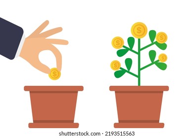 Árbol de dinero, crecimiento de dinero, inversión. Una mano arroja una semilla en forma de moneda de oro, un dólar de oro crece de un bote de flores. Concepto de icono de inversión empresarial. Ilustración del vector