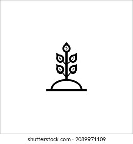 money tree icon vector illustration symbol