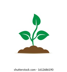 Money Tree icon vector on white background. Business concept.