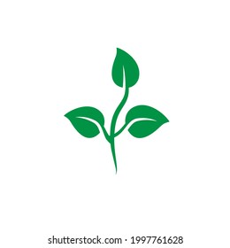 Vector de icono del Árbol de dinero en fondo blanco. Concepto de negocio.