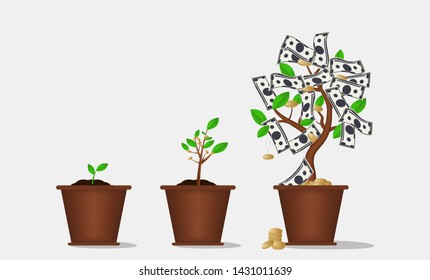 Money Tree . Invest Concept . Finance Growth Illustration. Startup Profit . 