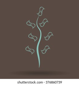 Money tree isolated 