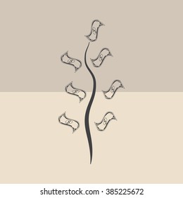 Money tree isolated 