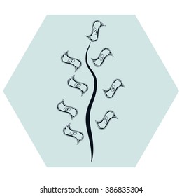 Money tree isolated 
