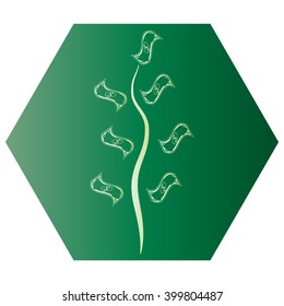 Money tree isolated 