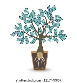 Money tree. Isolated vector object on white background.