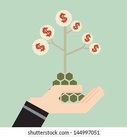 Money Tree On Hand