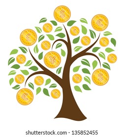Money tree on white background