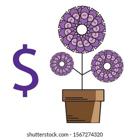 money tree on white background