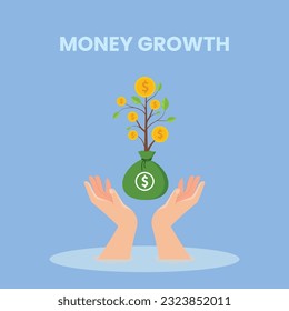 Money tree plant with coin dollar. Business profit investment, finance education, business income, business development concept. 