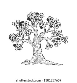 Money tree plant sketch engraving vector illustration. Scratch board style imitation. Black and white hand drawn image.