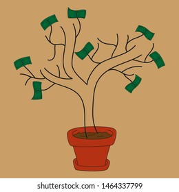 Money tree in a pot