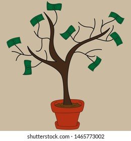 Money tree in a pot
