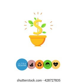 Money tree in pot