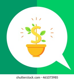 Money tree in pot