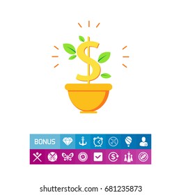 Money tree in pot