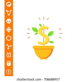 Money tree in pot
