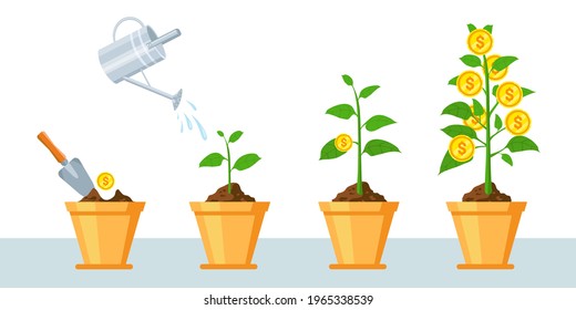Money tree in pot. Finance profit growth infographic with stages of plant grow coins. Economy business investment or revenue vector concept. Income strategy, increasing and saving earning