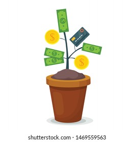 money tree in a pot vector illustration