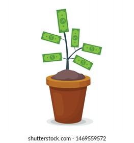 Money Tree In A Pot Vector Illustration