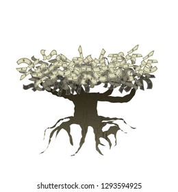money tree with root isolated on white