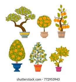Money tree set. Decorative plants in  flower pots. Vector illustration.
