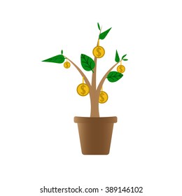 Money tree ,vector