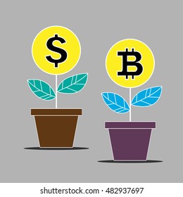 Money tree vector  illustration