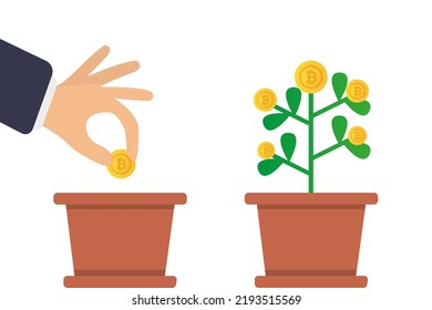 Árbol de dinero, crecimiento de dinero, inversión. Una mano pone una moneda digital dorada como semilla en una maceta de flores, una moneda digital dorada crece a partir de una maceta de flores. Concepto de icono de inversión empresarial. Ilustración del vector