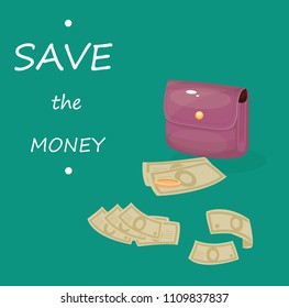 money, wallet, earnings
