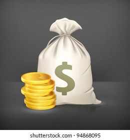 Bolsa de dinero y moneda, icono vector