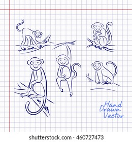 Mongkey Sketch Illustration. Vector Eps. 10