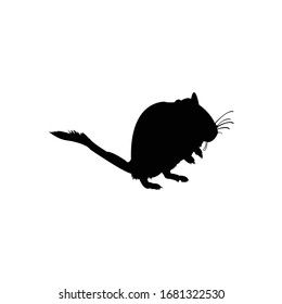 Mongolian gerbil, Meriones unguiculatus, silhouette animal vector illustrator.