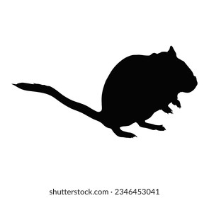 Mongolian gerbil, Meriones unguiculatus, silhouette animal vector illustrator.